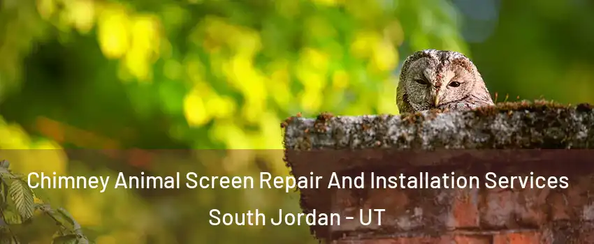 Chimney Animal Screen Repair And Installation Services South Jordan - UT