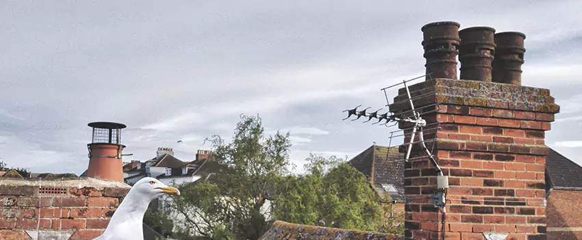 Chimney Cleaning And Restoration in South Jordan, Utah