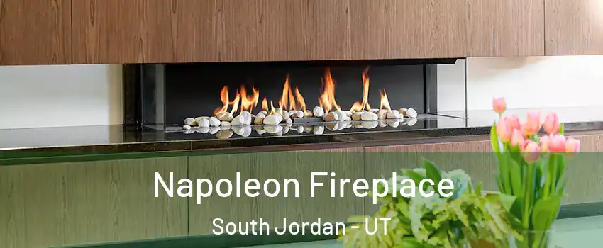  Napoleon Fireplace South Jordan - UT